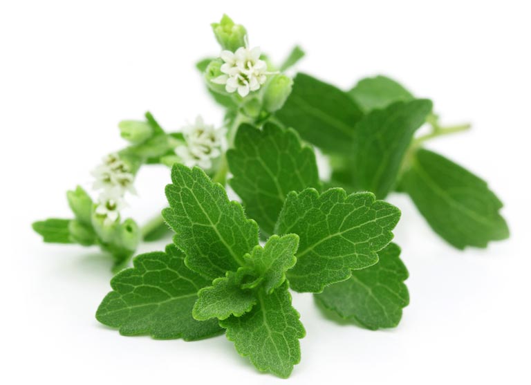 Hình ảnh Cỏ ngọt